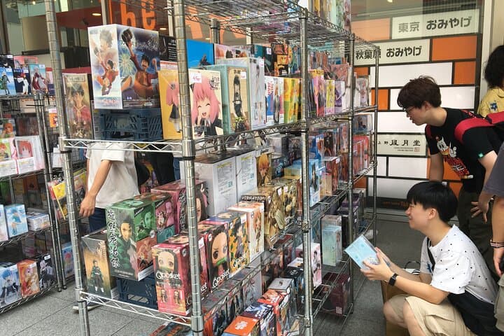 Private Akihabara Anime Guided Walking Tour — photo 4