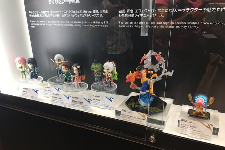 Private Akihabara Anime Guided Walking Tour — photo 9