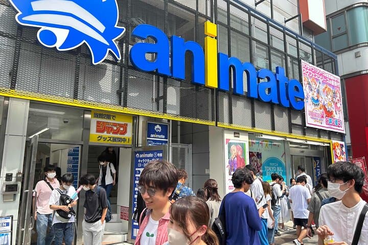Private Akihabara Anime Guided Walking Tour — photo 11