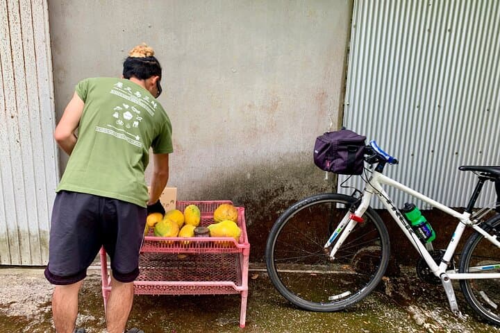 4 Hour Guided Cycling Experience in Yakushima — photo 10