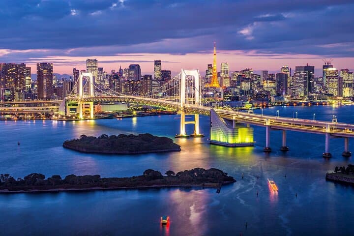 Tokyo City Night View Tour with Native Japanese Driver — photo 3