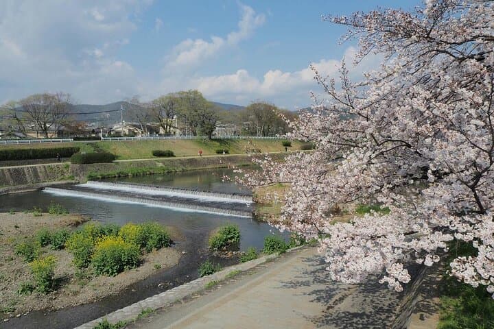 Private Romantic Walking Tour Kyoto Gion and Shrine — photo 4