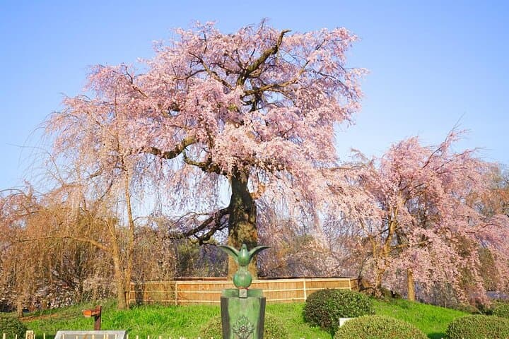 Private Historic Walking Tour Kyoto Temples and Gion — photo 4
