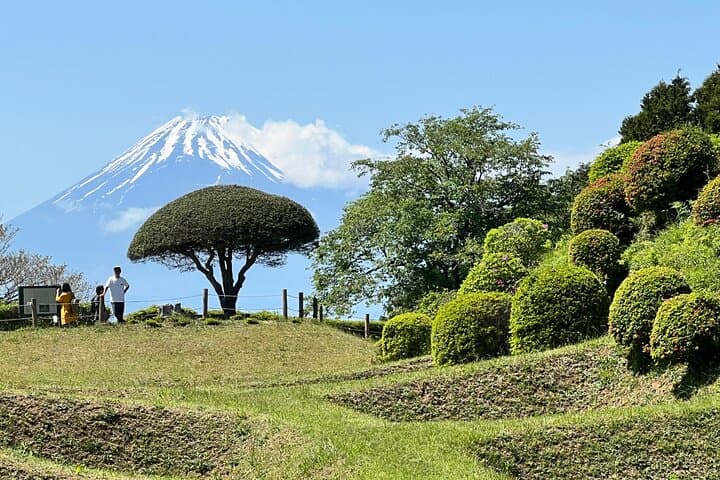 Hike Japan Heritage Hakone Hachiri with certified mountain guide — photo 20