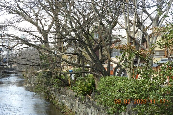 2 Hour Guided Gion Tour: Explore Kyoto’s Historic Geisha District — photo 2