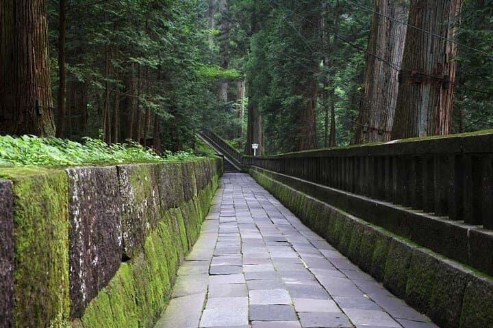 Private Morning Hike Around Nikko Toshogu Shrine — photo 4