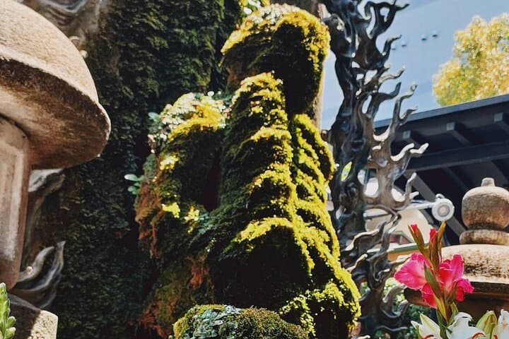 Ultimate Osaka Walking Tour: Castle, Dotonbori, Gems & Lunch — photo 8