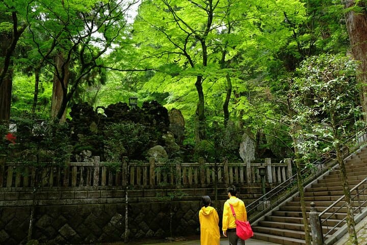 Forest Bathing in Temple and Enjoy onsen with healing power — photo 5