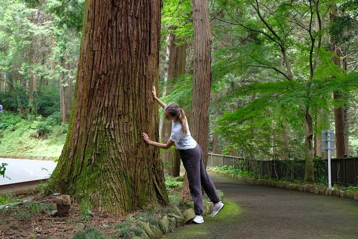 Forest Bathing in Temple and Enjoy onsen with healing power — photo 6