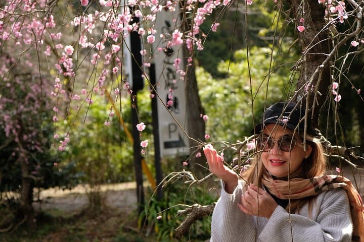 Forest Bathing in Temple and Enjoy onsen with healing power — photo 10