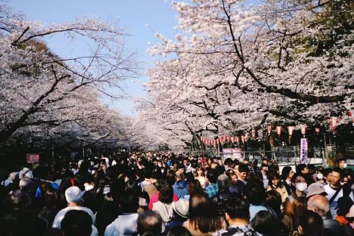 Private Mt. Fuji or Hakone Day Tour with English-Speaking Driver — photo 3