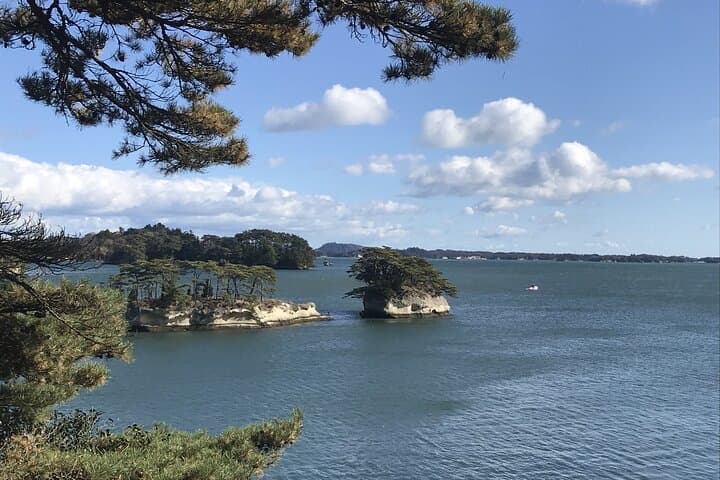 Matsushima Private Guided Tour — photo 4