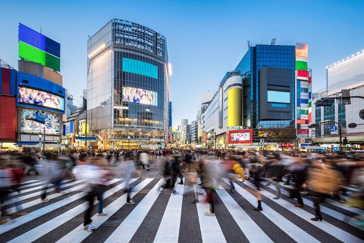 Luxury Haneda Airport Transfer including 2 hours Standby Time — photo 1