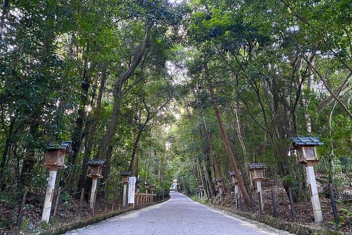 Japan's Oldest Shrine & Nagashi Somen Walking Tour from Nara — photo 9