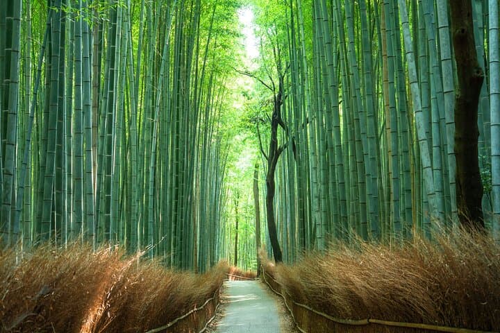 Kyoto Quiet Arashiyama and Sagano Temples Guided Tour — photo 10