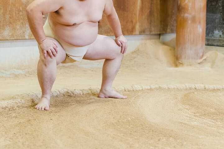 Sumo Training Watching Experience in Tokyo — photo 4