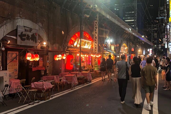 Tokyo's Bizarre Pub Hopping Tours (Personalized and Localized) — photo 14