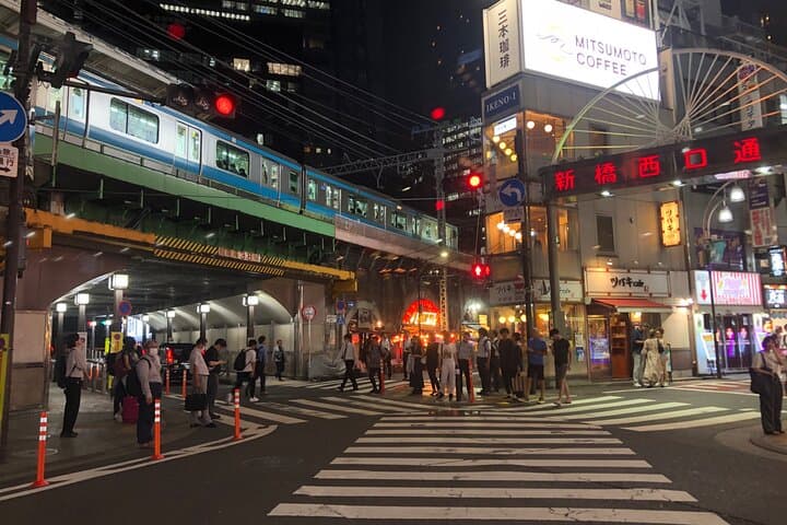 Tokyo's Bizarre Pub Hopping Tours (Personalized and Localized) — photo 16