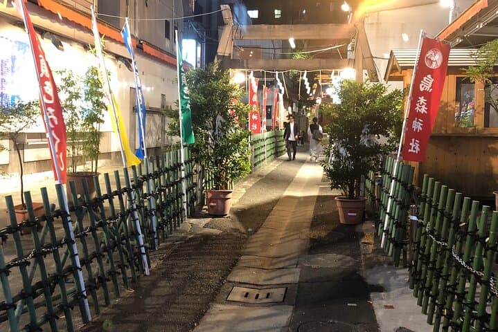 Tokyo's Bizarre Pub Hopping Tours (Personalized and Localized) — photo 18