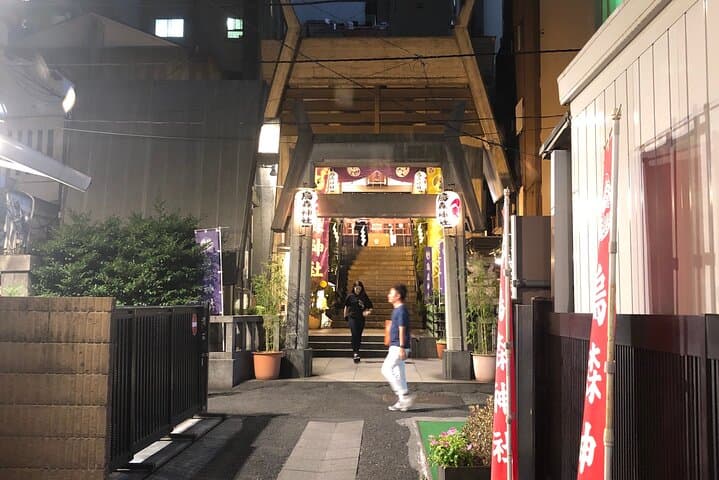 Tokyo's Bizarre Pub Hopping Tours (Personalized and Localized) — photo 20