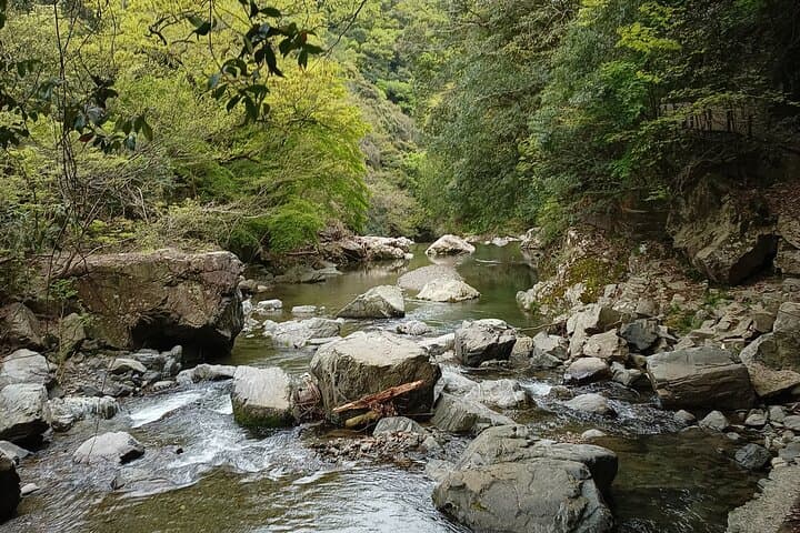 Osaka River Rapids Hike and Natural Hot Spring tour — photo 3