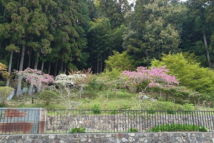 Osaka River Rapids Hike and Natural Hot Spring tour — photo 9