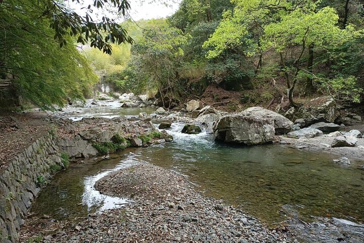 Osaka River Rapids Hike and Natural Hot Spring tour — photo 10