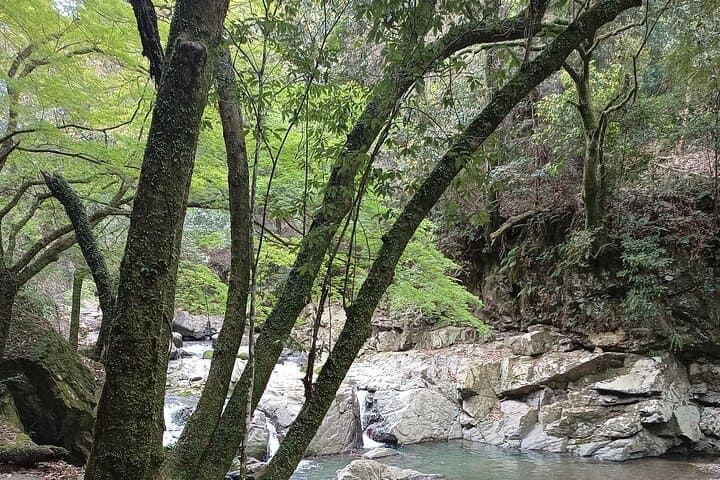 Osaka River Rapids Hike and Natural Hot Spring tour — photo 11