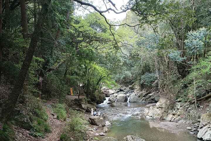 Osaka River Rapids Hike and Natural Hot Spring tour — photo 12