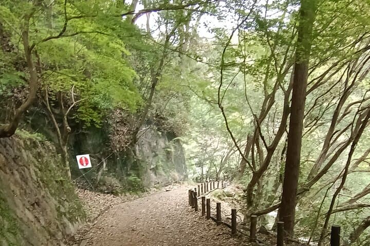 Osaka River Rapids Hike and Natural Hot Spring tour — photo 13