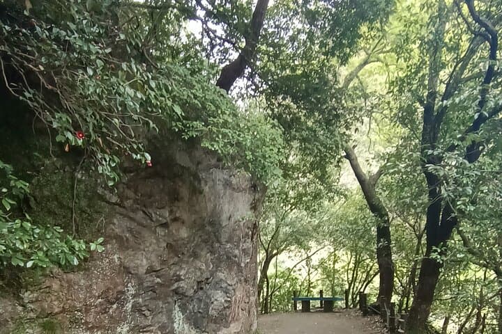 Osaka River Rapids Hike and Natural Hot Spring tour — photo 14