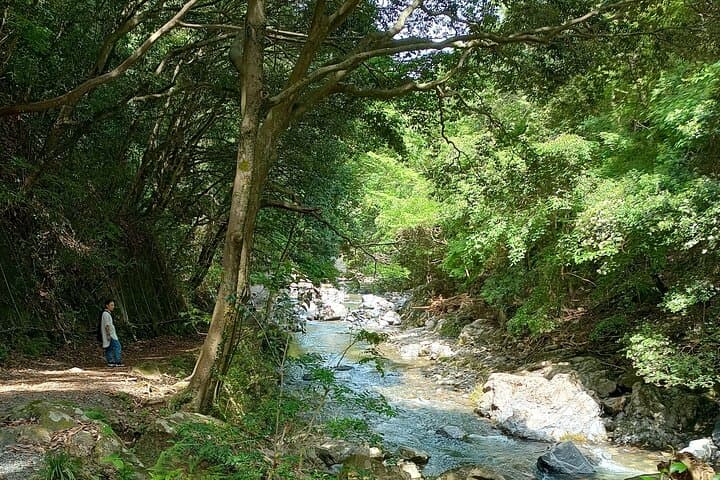 Osaka River Rapids Hike and Natural Hot Spring tour — photo 19