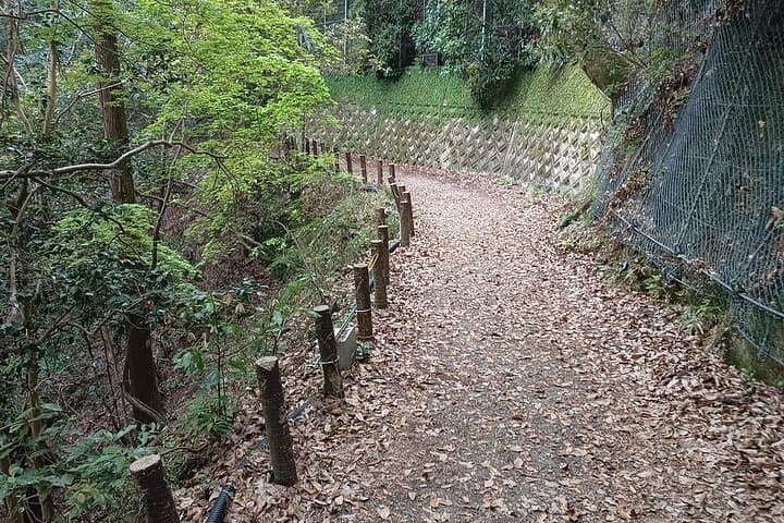 Osaka River Rapids Hike and Natural Hot Spring tour — photo 20