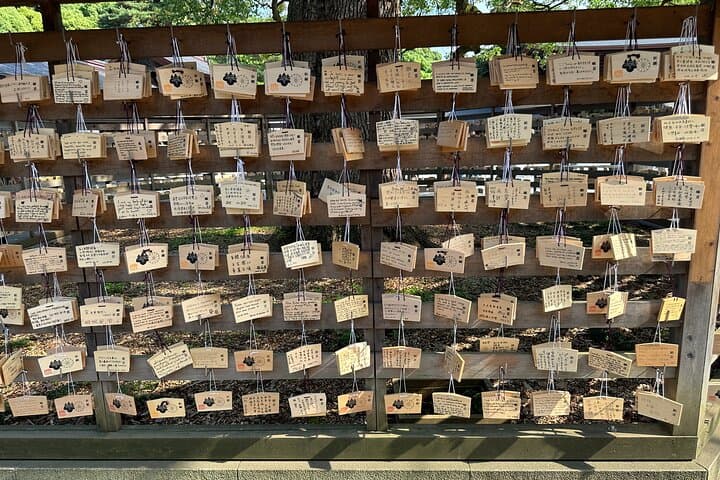Sacred Morning Walk and Brunch Meiji Shrine — photo 4