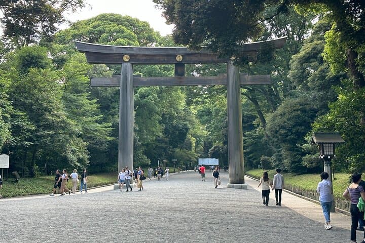 Sacred Morning Walk and Brunch Meiji Shrine — photo 10