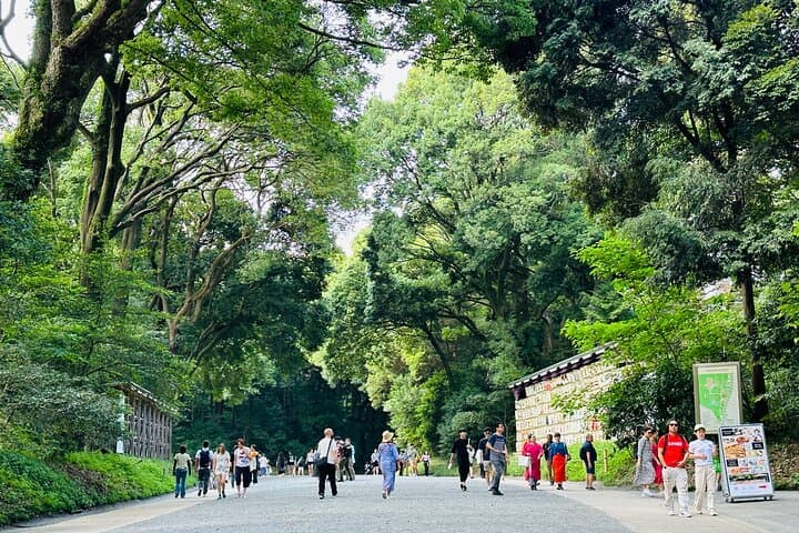 Sacred Morning Walk and Brunch Meiji Shrine — photo 7