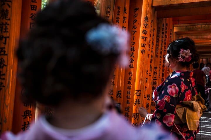 Shore excursion: Full Day Private Kyoto Tour From Osaka/Kobe Port — photo 5
