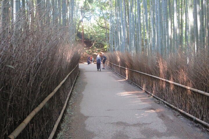 Shore excursion: Full Day Private Kyoto Tour From Osaka/Kobe Port — photo 8