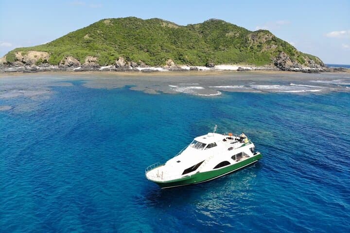 Okinawa:Naha Full-Day Kerama Islands National Park snorkelingTour — photo 7