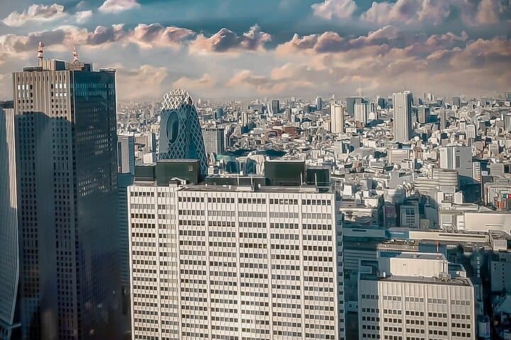 Private Tokyo Shinjuku Bus Tour with Licensed Guide — photo 8
