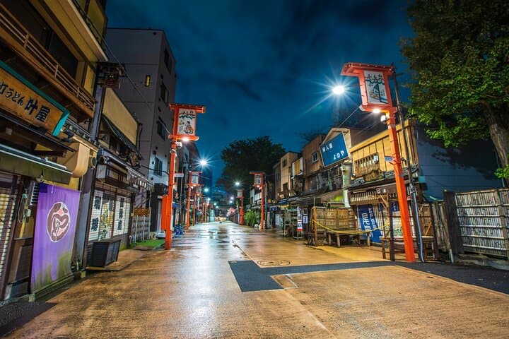 Private One Day Tour in Tokyo with Limousine and Driver — photo 7