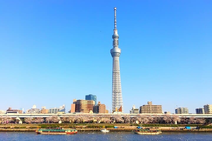 Private One Day Tour in Tokyo with Limousine and Driver — photo 8