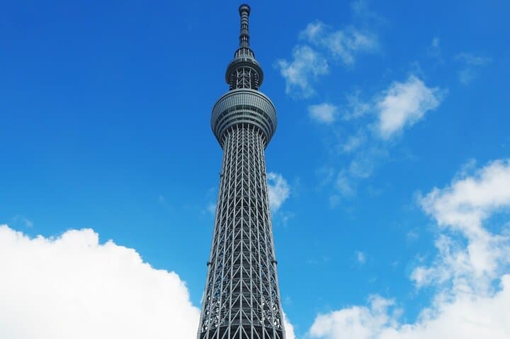 Private One Day Tour in Tokyo with Limousine and Driver — photo 9