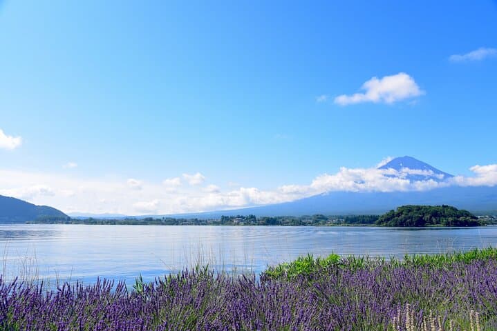 Private Tour to Mt Fuji, Lake Kawaguchi with Limousine and Driver — photo 8