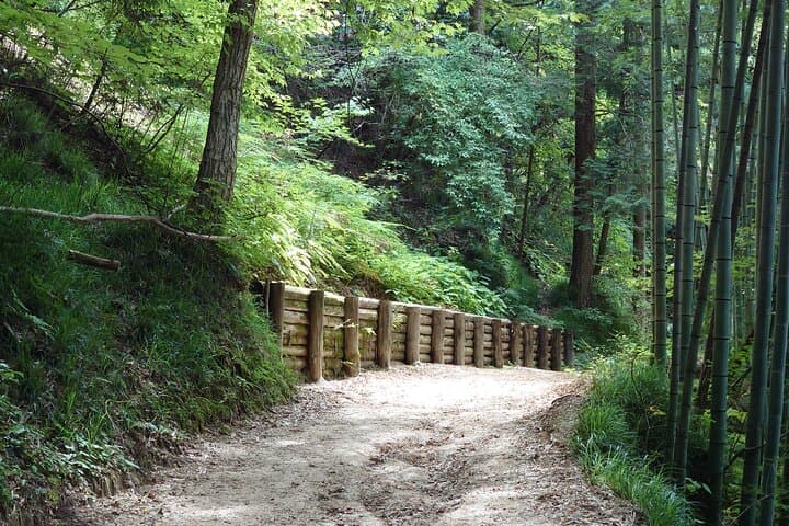 1-Day Tour from Matsumoto: Walk the Nakasendo Trail — photo 5