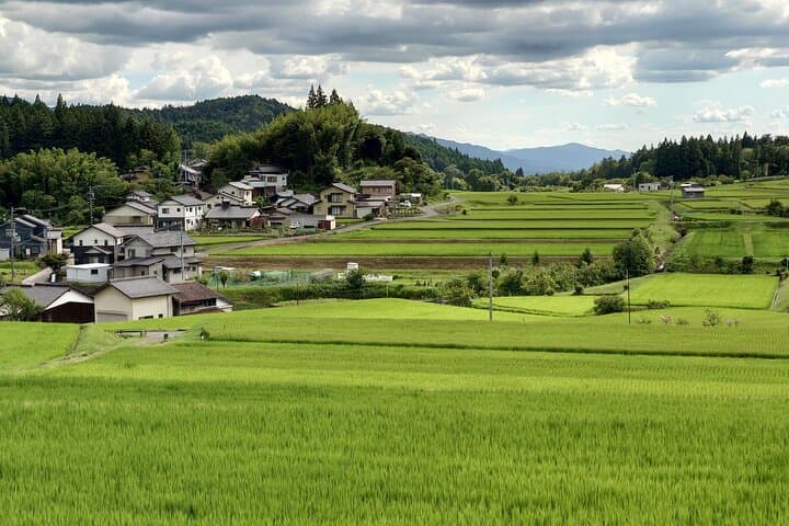 1-Day Tour from Matsumoto: Walk the Nakasendo Trail — photo 7