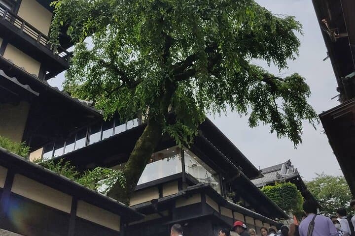 Private Customized Walking Tour in Kyoto — photo 15