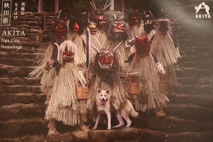 Private Half Day Akita Namahage Tour with Licensed Guide — photo 4