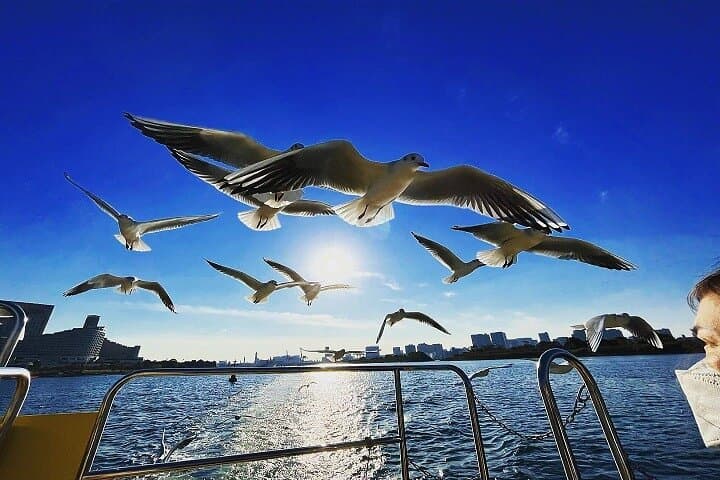 Tokyo Water Taxi Bayzone Tour — photo 5