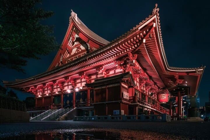 Tokyo Private Tour with Luxury Van — photo 5